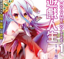 【轻小说/连载】游戏人生 NO GAME NO LIFE 1-15卷 EPUB - 有希日记